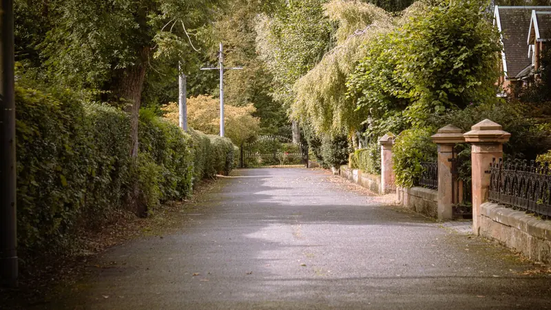 Quiet tree-lined lane (example photo)